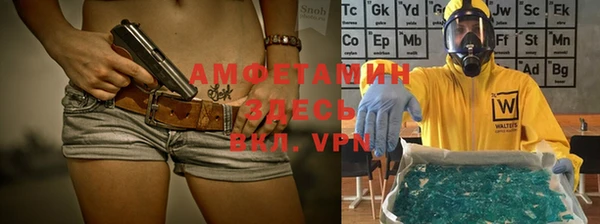 твердый Алзамай