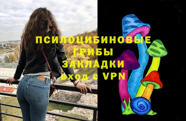 винт Алексин