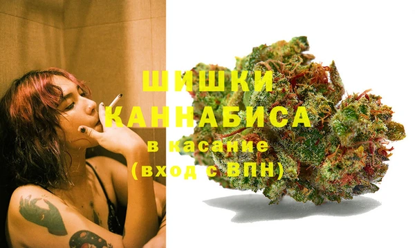 твердый Алзамай