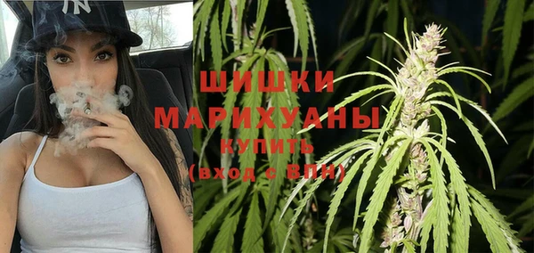 твердый Алзамай