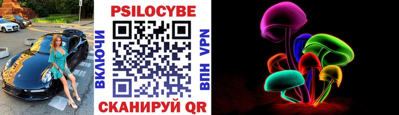 купить   мега   Псилоцибиновые грибы Psilocybe  это телеграм  Сарапул 